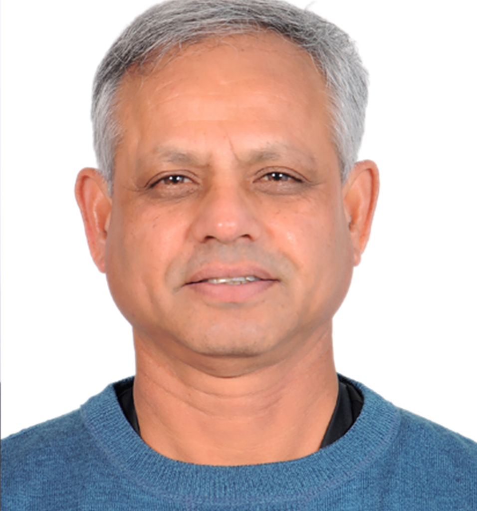 team image